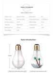 LED Lamp Home Essential Oil Diffuser Atomizer Air Freshener Mist Maker with LED Night Light